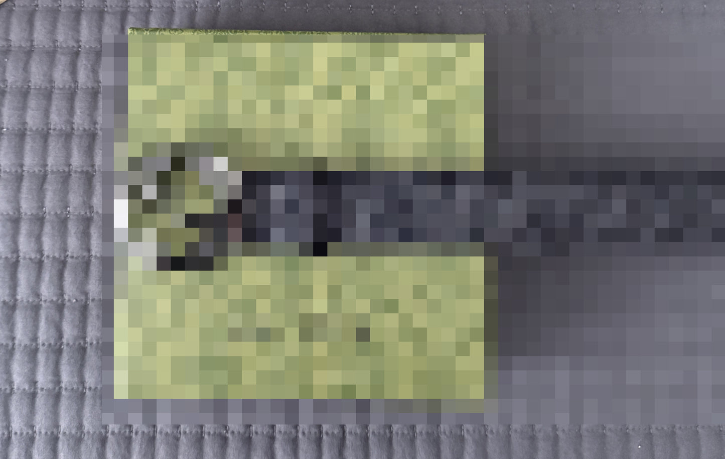 GC- GG PRINT BELT