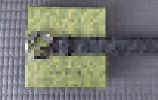 GC- GG PRINT BELT